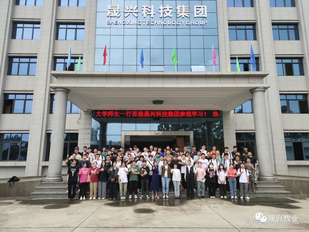 蛋鸡养殖设备 蛋鸡养殖设备