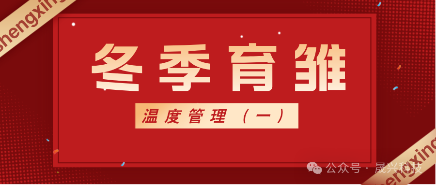 养鸡设备 养鸡设备