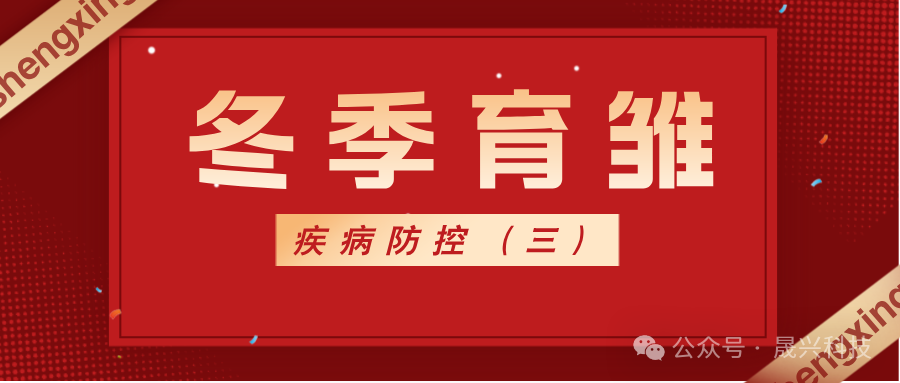 养鸡设备 养鸡设备