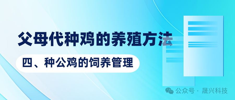 养鸡设备 养鸡设备