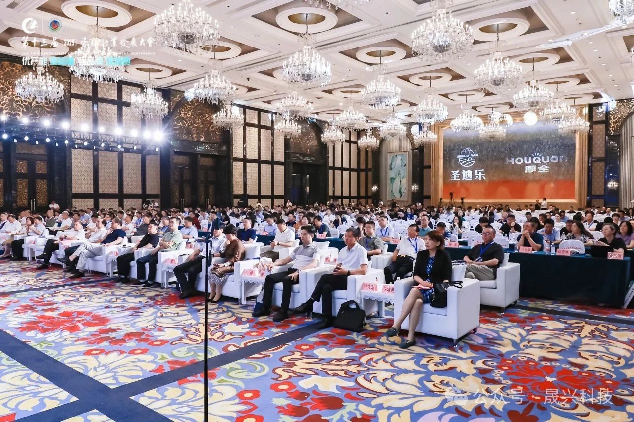 养鸡设备 养鸡设备