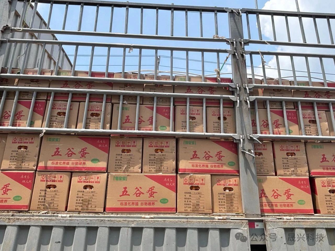 养鸡设备 养鸡设备