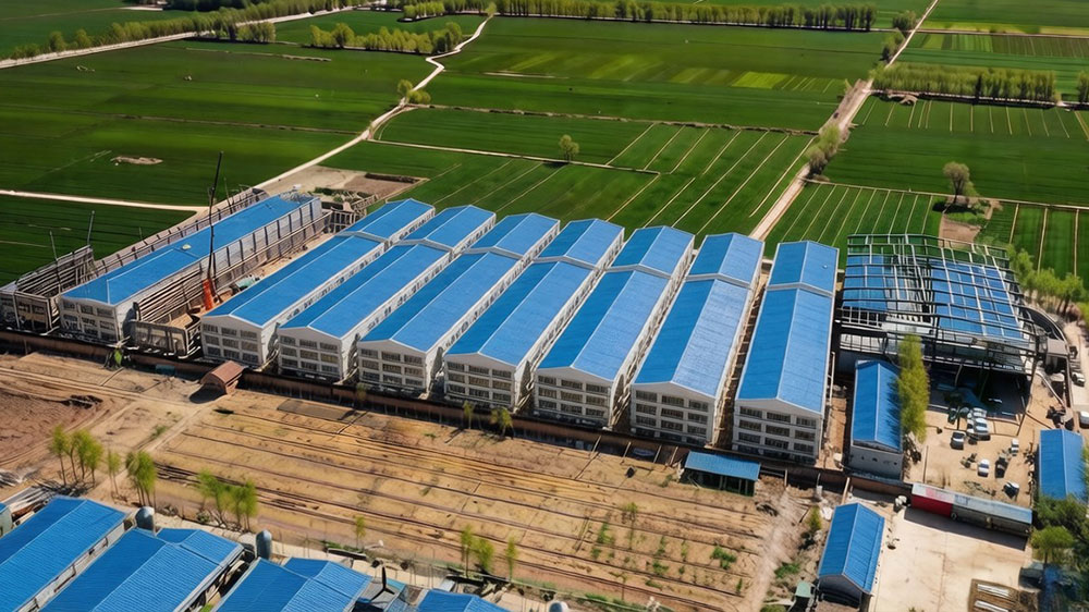 山东德州9层110万羽蛋鸡项目