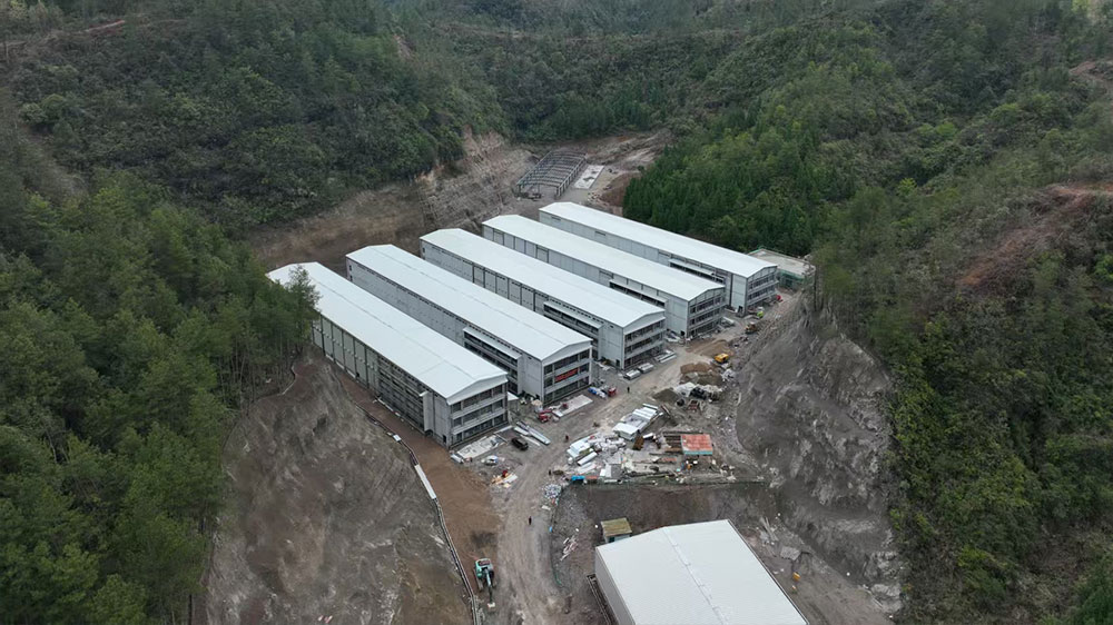 贵州铜仁12层100万羽蛋鸡项目